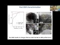 exploring materials for overall electrochemical water splitting activity