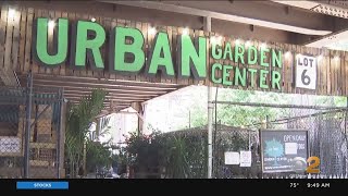 Shop Local Saturday: Urban Garden Center