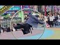 暖場編 西門町街頭表演 雜技 streetshow juggling