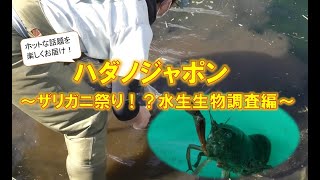 【ハダノジャポン】ザリガニ祭り！？水生生物調査編