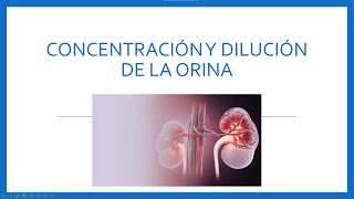 Entendiendo la fisiología Renal 2 -  Parte 3