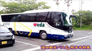 植田観光バス スイカ指宿を走る Ueda Kanko Bus ran in Ibusuki