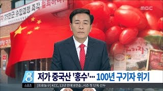 [대전MBC뉴스]중국산 '홍수'··100년 구기자 '흔들'