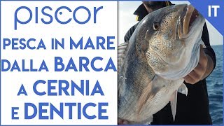 Pesca in Mare dalla Barca a caccia di Cernia e Dentice