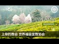 好的和坏的 | 母亲上帝