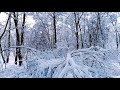 relaxe com belas paisagens de inverno ~ muita neve incrível cenário natural música relaxante