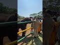 PM Modi greets his new friend. Watch the heart melting encounter with elephants in Mudumalai