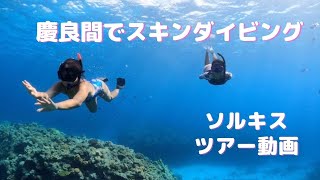 慶良間スキンダイビングツアー紹介動画