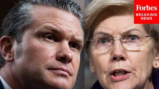 'A Walking National Security Threat': Elizabeth Warren Goes Scorched Earth On Pete Hegseth