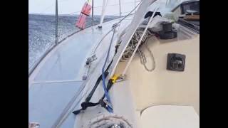 Sailfisher Bornholm Trolling Master 2016