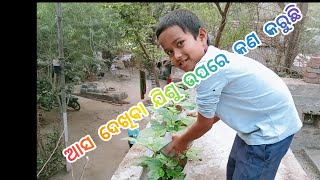 ଯିଶୁ କଣ କରୁଛି#youtubevideo#