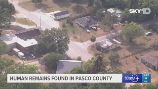 'Apparent' human remains found in Pasco County, officials say