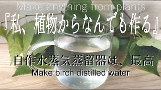 自作水蒸気蒸留器でシラカバの芳香蒸留水の作り方｜精油・アロマオイル