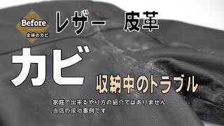 レザーのコートの収納中のトラブル　カビ　染み抜きとクリーニングと消臭