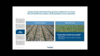 Indigo Ag - Soil Carbon Markets