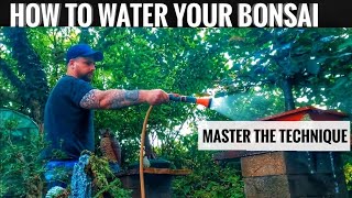 Master the Art of Bonsai Watering!