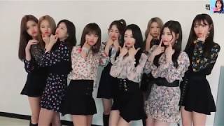 [ENGSUB] What Are Gugudan Doing? Episode 11