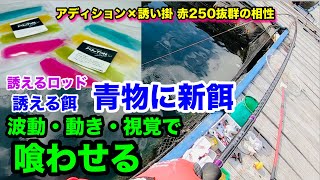 【海上釣堀】波動・動き・視覚で青物の釣果を伸ばす！喰わす新餌アディション@p.pochisan