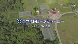 やまふじぶどう園：とやまドローンジャーニー