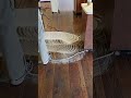 from dingy to beautiful hardwood floor cleaning