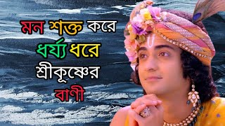 মন শক্ত করে ধর্য্য ধরে শ্রীকূষ্ণের বাণী ||krishna bani. motivation video. gita bani 🙏