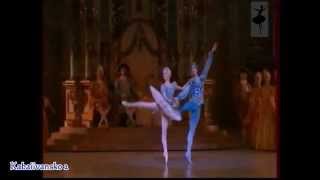 Bluebird Pas de Deux: Myriam Ould-Braham \u0026 Mathias Heymann