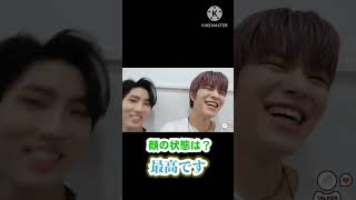 自覚のあるイケメン ハンジソン #straykids #スキズ ＃ハン#han