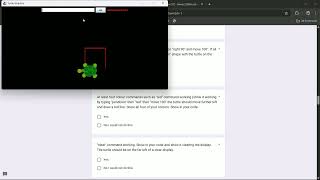 OOP Turtle Graphics Program by Riwaz Bajracharya - c7576074