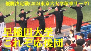 早稲田大学　これぞ応援団　優勝決定戦(2024東京六大学秋季リーグ)　神宮球場　2024.11.12