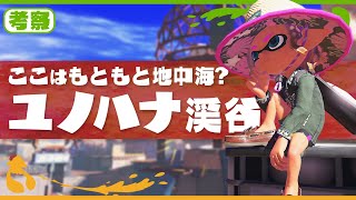 【考察】ユノハナ大渓谷はどこにある？ - Splatoon3【SPLABO!】