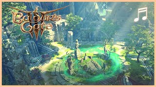 BALDUR'S GATE 3 Emerald Grove Ambient Music Mix | 1 HOUR