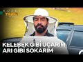 Arılara Fısıldayan Adam Olma Yolunda Adım Adım - Kuzey Yıldızı İlk Aşk