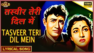 Tasveer Teri Dil Mein - Maya - Lyrical Song - Lata Mangeshkar , Mohammed Rafi - Dev Anand,Mala Sinha