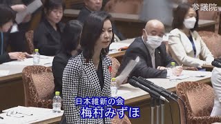 2023.03.16　東日本大震災復興特別委員会・質疑　梅村みずほ