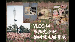 【VLOG】在阳光正好的时候去野餐吧/毕业照/广州塔/野餐/宏城公园