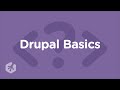 Learn Drupal Basics with Treehouse