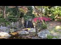 小石川後楽園の紅葉④ tokyo autumn leaves koishikawa korakuen 2021.12