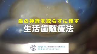 歯の神経を取らずに残す　【愛知県刈谷市の歯医者】　生活歯髄療法　オンライン診療　バイオセラミックス　自由診療　顕微鏡歯科　マイクロスコープ　Vital Pulp Therapy　Kariya city