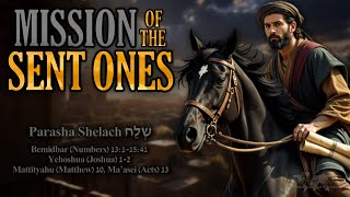 Parasha Shelach 5785 (2024) - Mission of the Sent Ones