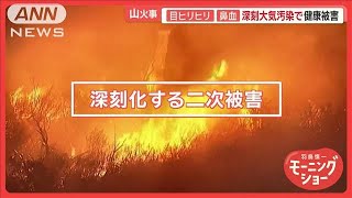 LA山火事、ハリケーン級強風の予測…新たに火の手　深刻大気汚染で「数カ月戻れない」【羽鳥慎一モーニングショー】(2025年1月16日)