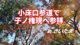 【のんびり山歩き】西吾野駅から小床口参道を登って子ノ権現に参拝(埼玉県飯能市)