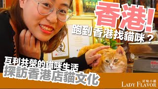 跑去香港玩貓 ?! 探訪香港店貓文化【好味貓旅行】EP1