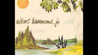 Albert Hammond Jr - In Transit