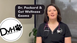 Cat Wellness Exams with Dr. Packard, DVM
