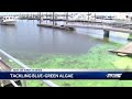 Toxic Blue-Green Algae Task Force discusses progress and continued efforts