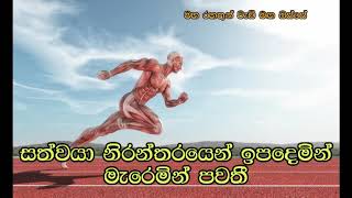 සත්වයා නිරන්තරයෙන් ඉපදෙමින් මැරෙමින් පවතී  Maha Rahathun Wadi Maga Osse 1148