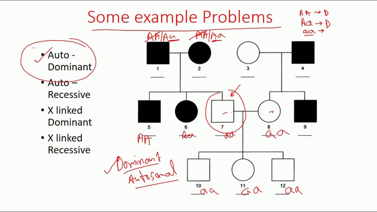 Recessive Vs Dominant Chart