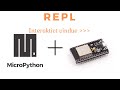 REPL MicroPython