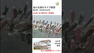 1994年 泳げ鯉のぼり相模川  #1994年   #相模原市