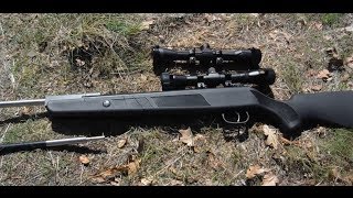 Beeman Dual Caliber Air Rifle - How to Easily Site in Both Barrels